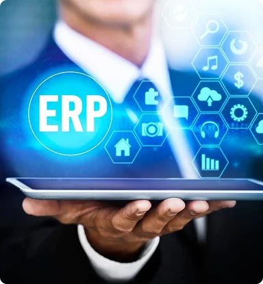 Enterprise Resource Planning (ERP) Systems